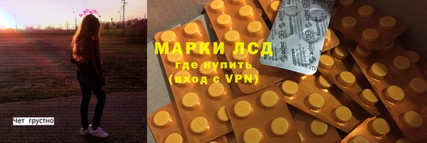 хмурый Инсар