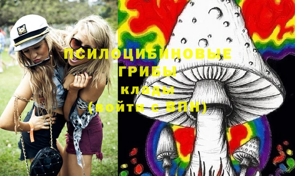 бошки Абаза