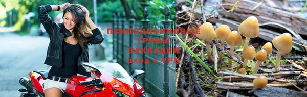 jwh Алексеевка