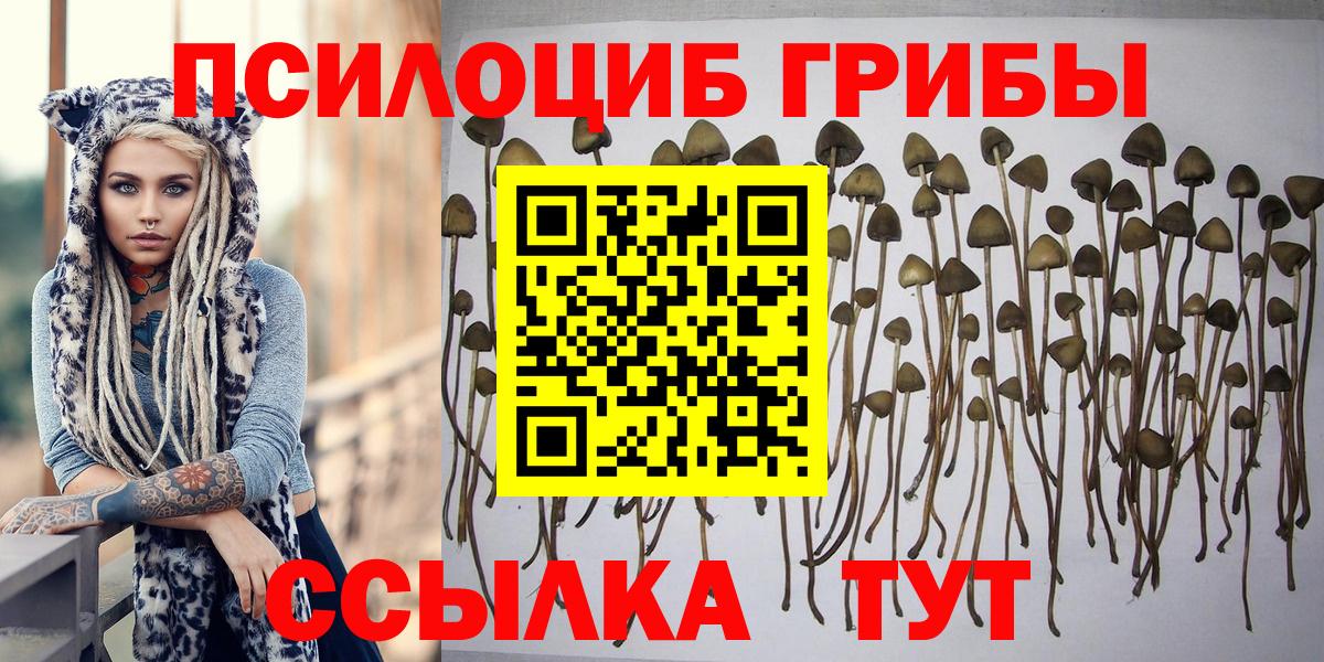 Псилоцибиновые грибы MAGIC MUSHROOMS Карасук