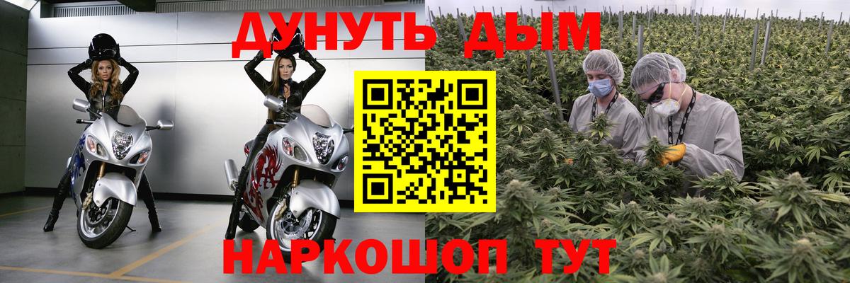 Карасук  Конопля Amnesia  Вход с VPN  МАРИХУАНА конопля  Бошки марихуана сатива 